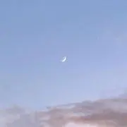 reinaの画像