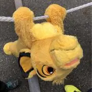 bafobonbenの画像