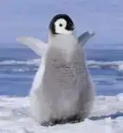 まりちょ　★プロフご一読下さい