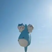 太った鳩の画像