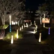 ぷーの画像