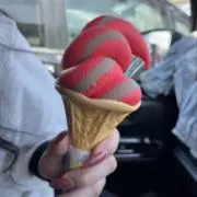 無名バイタリの画像