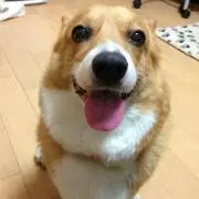 ちろめ【プロフ必読お願いします。】