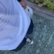 てててんてんの画像