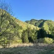 みそぴーの画像