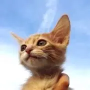 すあ