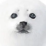 Happy☆TOMOの画像
