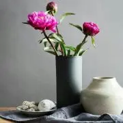 Kokeの画像
