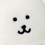 まりもの画像