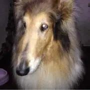 taka