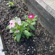 モコといっしょの画像