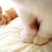 mocacan:)の画像