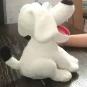 ぬこ　プロフィール読んでください！