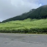 た