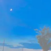 たぴおかの画像