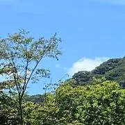 山卓の画像