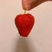 みゆか