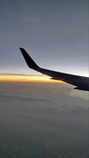 なーはんの画像