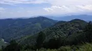夕太