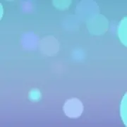 かまめし