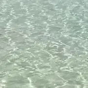 てんつる