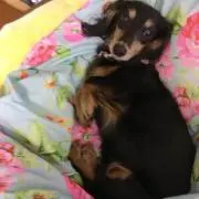 ムーン