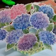 れんこの画像