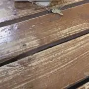 白湯の画像