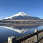 はせの画像