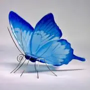 shinの画像