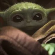 Yoda Tkgの画像