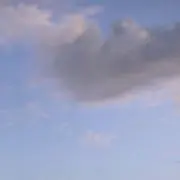 ヌの画像