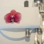 ありの画像