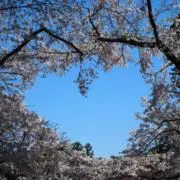 keko@断捨離中の画像