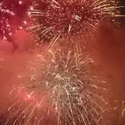 りすの画像