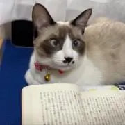 広島の乱読ジジイ