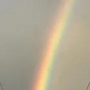 たぬの画像
