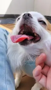 むう