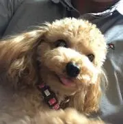 わっくんの画像
