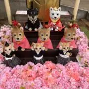 みみままの画像