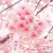 咲良の画像