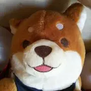 ひっと