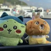 ハチワレ
