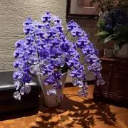 R9の画像