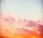 emuの画像