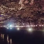 あげ