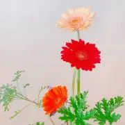 ぴろ　プロフィールご覧下さい！