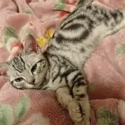 ★ひろみ★