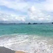 との※断捨離中なのでお値下げ対応中の画像