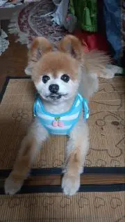 じゅんちゃん